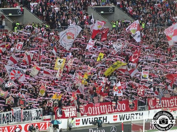 VfB Stuttgart vs VfL Wolfsburg (1-0) (17)