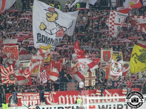 VfB Stuttgart vs 1. FC Köln (2-1) (14)