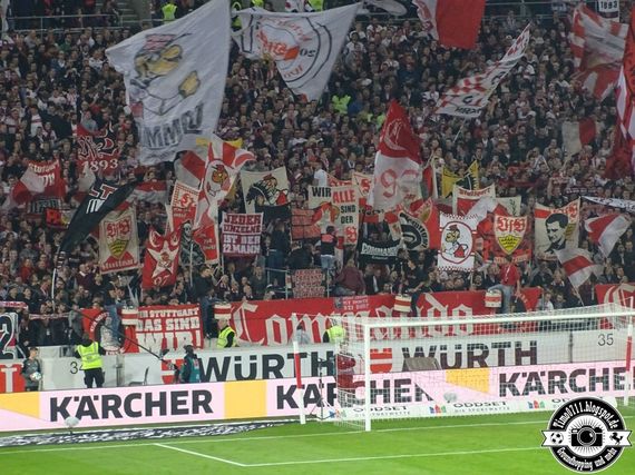 VfB Stuttgart vs 1. FC Köln (2-1) (17)