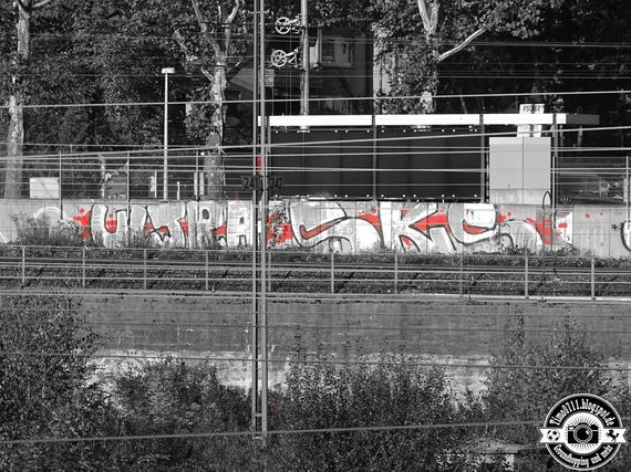 VfB Stuttgart vs 1. FC Köln (2-1) (19)