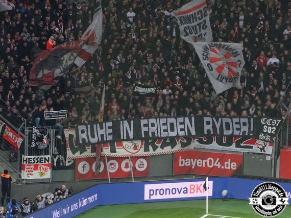 Bayer 04 Leverkusen vs VfB Stuttgart (2-0) (18)