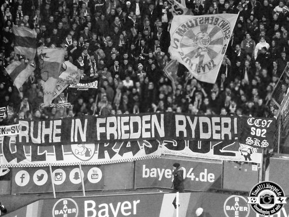 Bayer 04 Leverkusen vs VfB Stuttgart (2-0) (19)