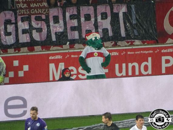 VfB Stuttgart vs FC Schalke 04 (1-3) (24)