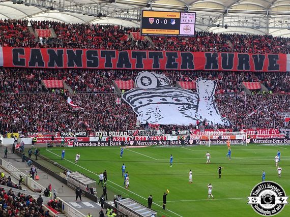VfB Stuttgart vs TSG Hoffenheim (1-1) (18)