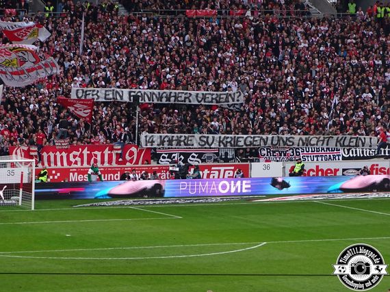 VfB Stuttgart vs TSG Hoffenheim (1-1) (19)