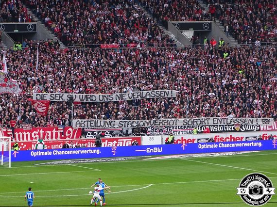 VfB Stuttgart vs TSG Hoffenheim (1-1) (20)