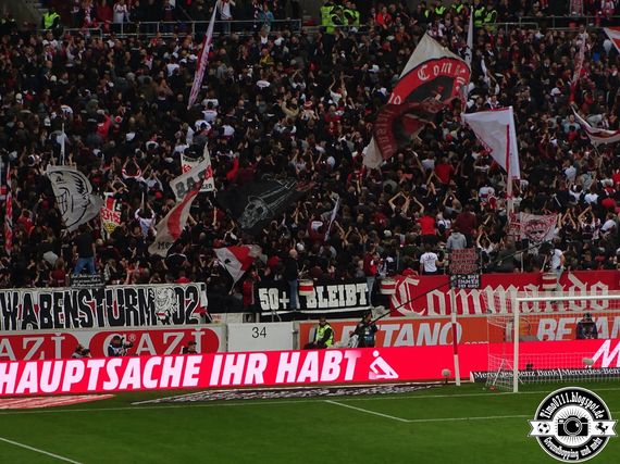VfB Stuttgart vs TSG Hoffenheim (1-1) (22)