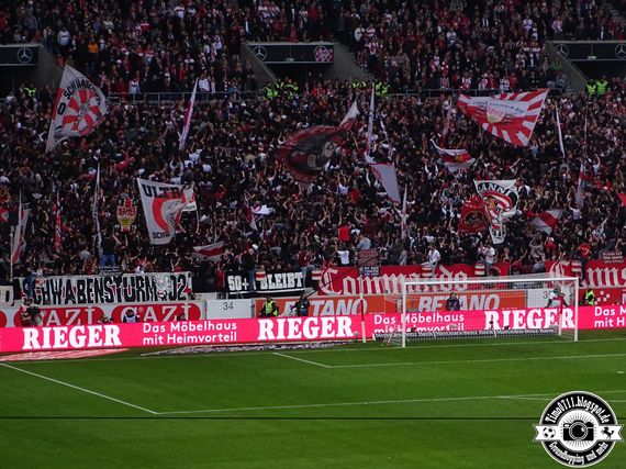 VfB Stuttgart vs TSG Hoffenheim (1-1) (29)