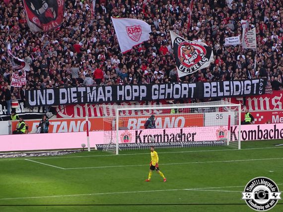 VfB Stuttgart vs TSG Hoffenheim (1-1) (33)