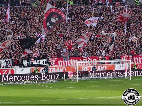 VfB Stuttgart vs TSG Hoffenheim (1-1) (35)