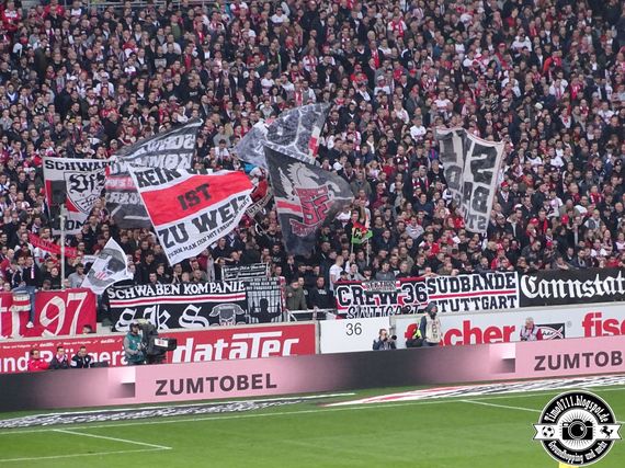 VfB Stuttgart vs TSG Hoffenheim (1-1) (36)