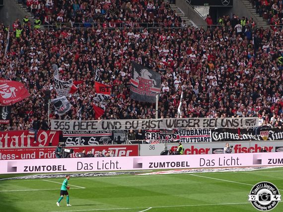 VfB Stuttgart vs 1. FC Nürnberg (1-1) (13)