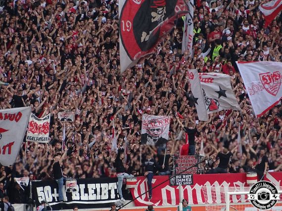 VfB Stuttgart vs VfL Wolfsburg (3-0) (9)