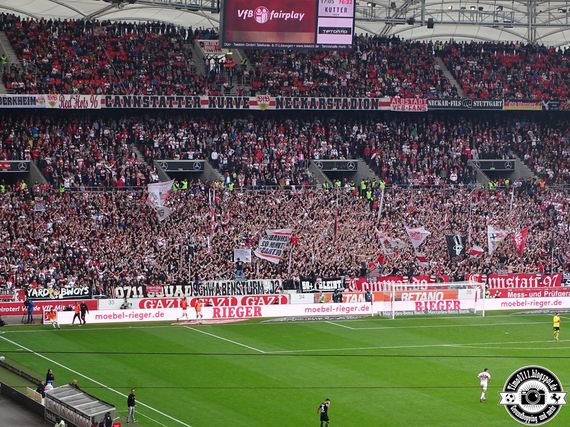 VfB Stuttgart vs VfL Wolfsburg (3-0) (20)