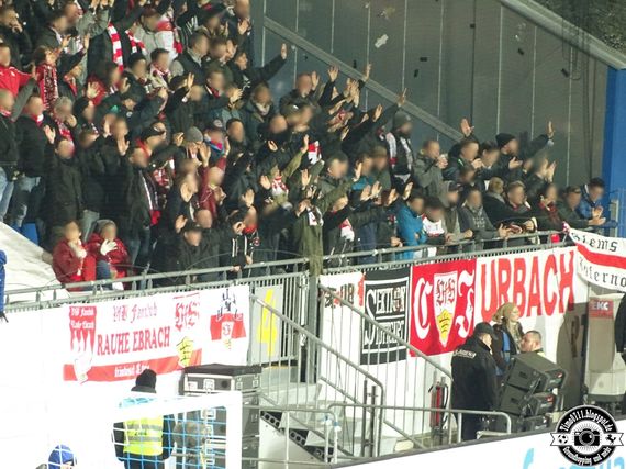 SV Darmstadt 98 vs VfB Stuttgart (1-1) (11)