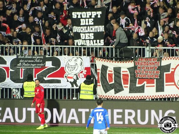 SV Darmstadt 98 vs VfB Stuttgart (1-1) (14)