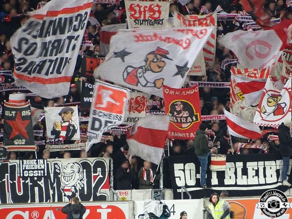VfB Stuttgart vs 1. FC Heidenheim 1846 (3-0) (15)