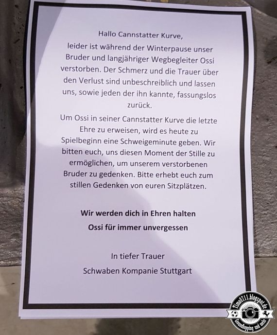 VfB Stuttgart vs 1. FC Heidenheim 1846 (3-0) (30)