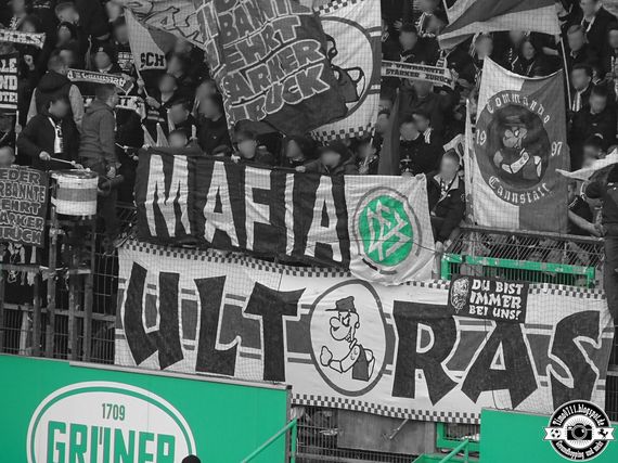 SpVgg Fürth vs VfB Stuttgart (1-0) (6)