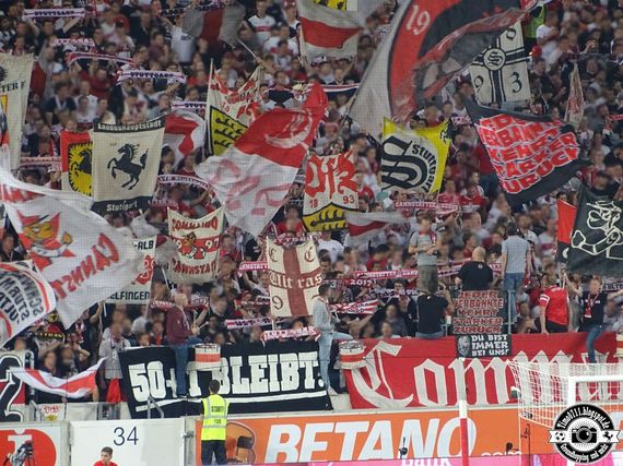 VfB Stuttgart vs VfL Bochum (2-1) (6)