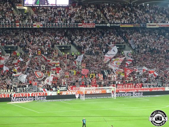 VfB Stuttgart vs VfL Bochum (2-1) (9)