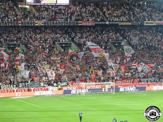 VfB Stuttgart vs VfL Bochum (2-1) (10)