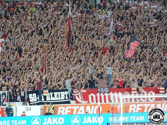 VfB Stuttgart vs VfL Bochum (2-1) (11)