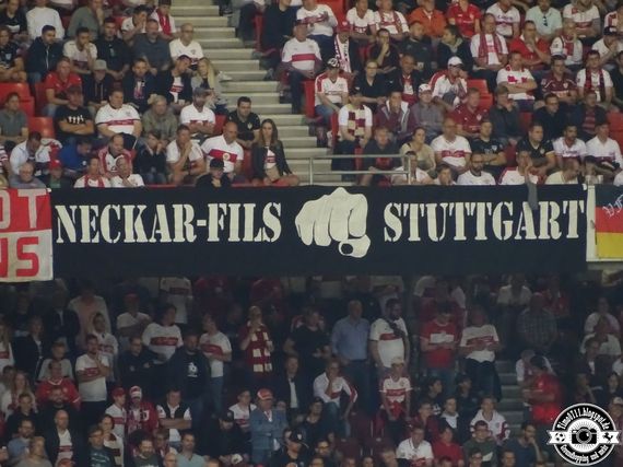 VfB Stuttgart vs VfL Bochum (2-1) (17)