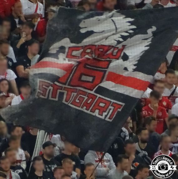 VfB Stuttgart vs VfL Bochum (2-1) (23)