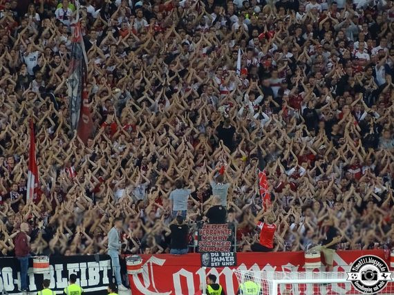 VfB Stuttgart vs VfL Bochum (2-1) (27)