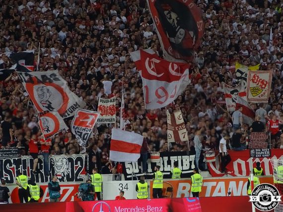 VfB Stuttgart vs VfL Bochum (2-1) (28)