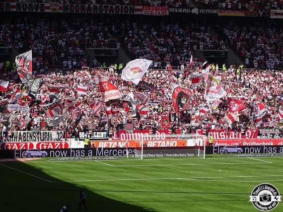 VfB Stuttgart vs SpVgg Fürth (2-0) (11)
