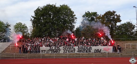 VfB Stuttgart vs TSG Hoffenheim (3-1) (21)