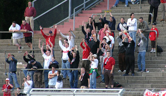 Darmstadt 98 vs VfB Stuttgart II (2-0) (2)
