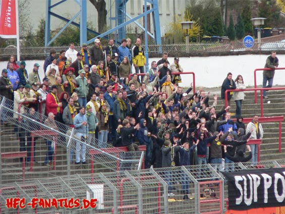Hallescher FC vs VFC Plauen (1-1) (2)
