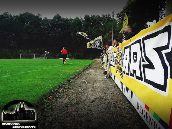 Bischofswerdaer FV vs VFC Plauen (1-1) (9)