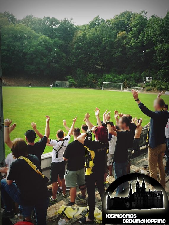 Bischofswerdaer FV vs VFC Plauen (1-1) (11)