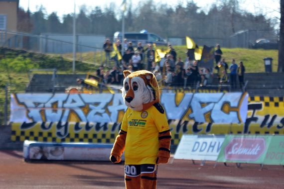 VFC Plauen vs BSG Chemie Leipzig (0-0) (10)