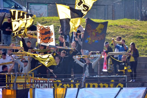 VFC Plauen vs BSG Chemie Leipzig (0-0) (17)