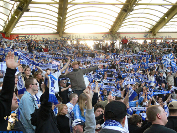 Bayer 04 Leverkusen vs VfL Bochum (1-4) (14)