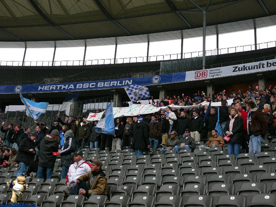 Hertha BSC vs VfL Bochum (2-0) (6)