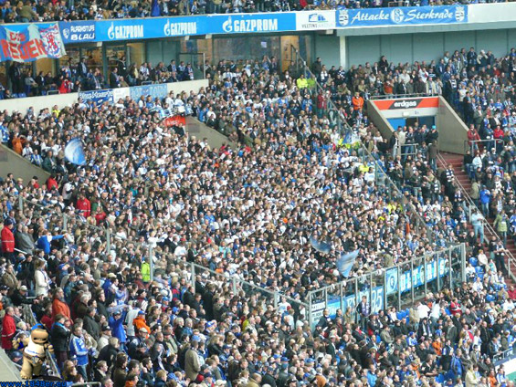 FC Schalke 04 vs VfL Bochum (1-0) (9)