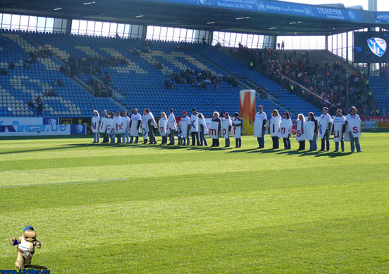 VfL Bochum vs FC Energie Cottbus (3-3) (6)