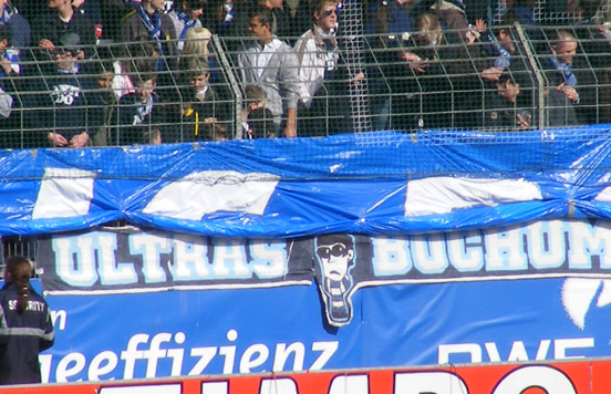 VfL Bochum vs Borussia Dortmund (3-3) (23)
