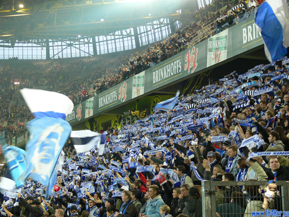 Borussia Dortmund vs VfL Bochum (1-1) (4)