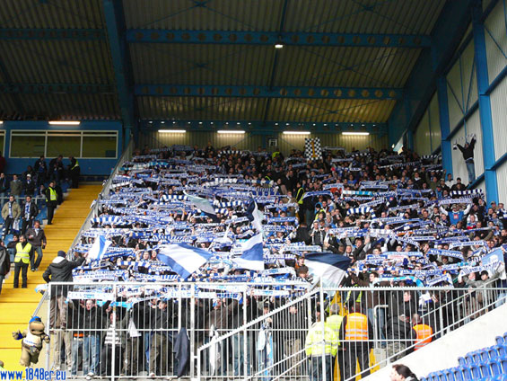 DSC Arminia Bielefeld vs VfL Bochum (1-1) (2)