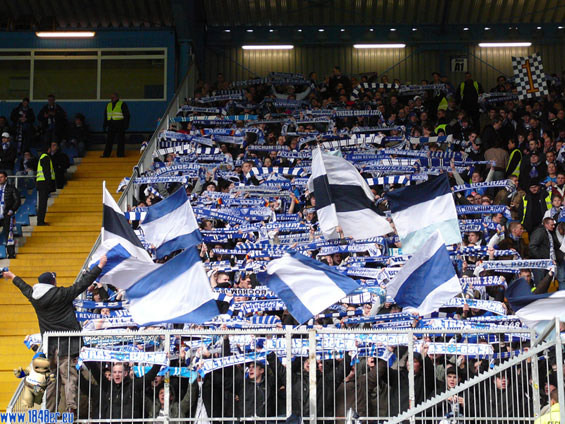 DSC Arminia Bielefeld vs VfL Bochum (1-1) (3)