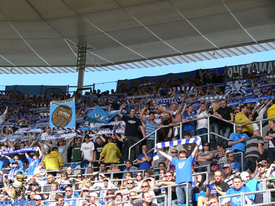 TSG Hoffenheim vs VfL Bochum (0-3) (7)