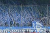 VfL Bochum vs Borussia Dortmund (0-2)