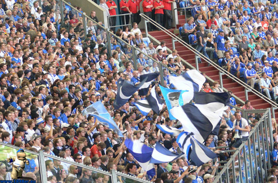 FC Schalke 04 vs VfL Bochum (1-0) (5)